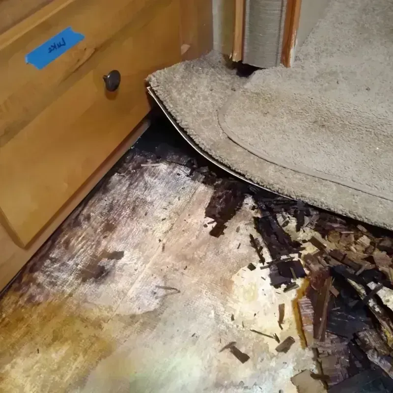 Wood Floor Water Damage in Mille Lacs County, MN